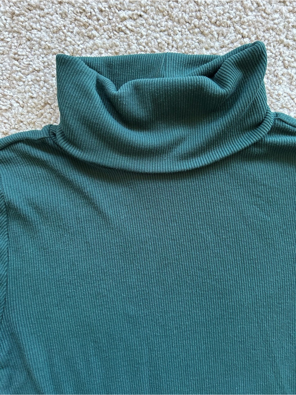 Loft | Green Ribbed Turtleneck - Picture 2 of 4